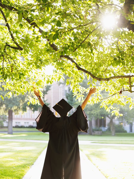 young-woman-university-graduate-large-tree