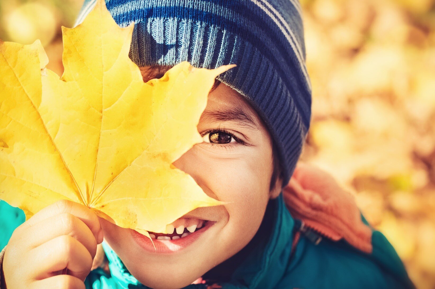 boy-smiling-yellow-maple-leaf